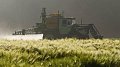 Jugement historique : Monsanto condamnée à l'issue d'un procès contre le cancer aux Etats-Unis