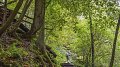 L'état de santé de nos forêts et les 3 principales mesures du programme ''Klima-Bonus'' pour la forêt
