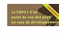 La COP21 d'un point de vue des pays en voie de développement