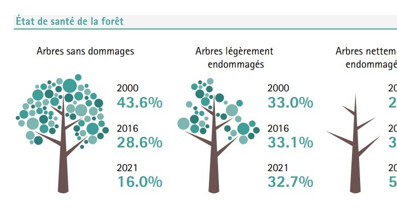 Des Chiffres Qui Parlent