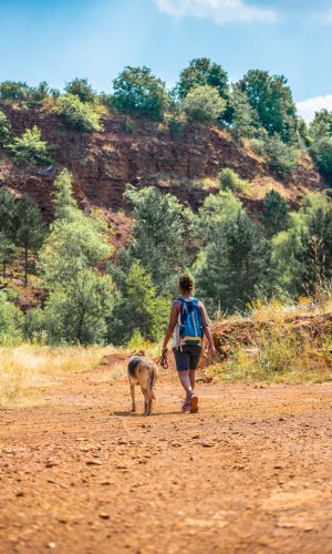 Randonnée dans la réserve naturelle Lallengerbierg