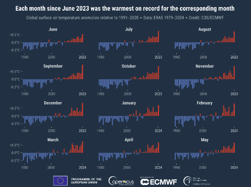 Anomalies de la température de l'air à la surface du globe (°C) de janvier 1979 à mai 2024, présentées séparément pour chaque mois civil. Les anomalies sont rapportées à la moyenne de la période de référence 1991-2020. Source : ERA5 : ERA5. Crédit : Copernicus Climate Change Service/ECMWF.