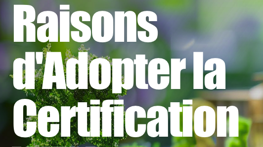10 bonnes raisons d'adopter la certification WELL