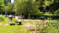 Les jardins participatifs d'Esch prennent racine