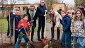 Une petite forêt de 500 arbres à Limpertsberg