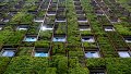 Future-proof real estate : embracing green and healthy buildings