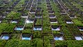 Future-Proof Real Estate : Embracing Green and Healthy Buildings