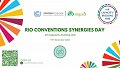 Rio Conventions Synergies Day | 6th Capacity-building Hub