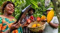 Fairtrade lance un nouvel outil de prix de référence