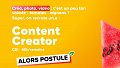 Content Creator (h/f) / Grosbusch