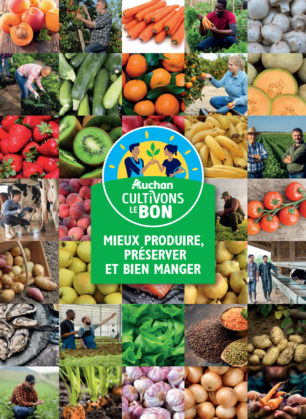 Aliments Comestibles - Livraison Gratuite Pour Les Nouveaux Utilisateurs -  Temu Belgium
